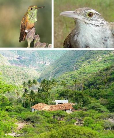 collage_chicamocha-2