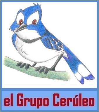 Grupo_Cerulea