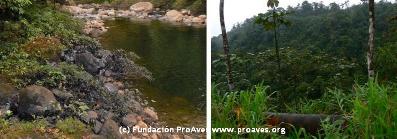 Copia_de_Presentacion1