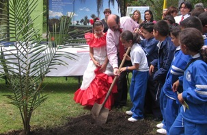 Lanzamiento_sembrando_palma