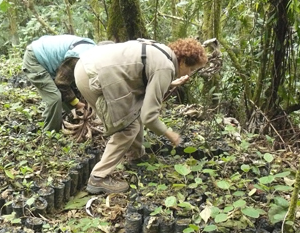 Tour_Hilty.RNA_El_Dorado