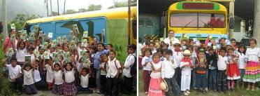 mosaico_loro_bus_en_el_tolima