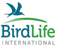 birdlife