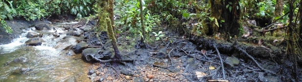 8723499336_a14e0aa168_o