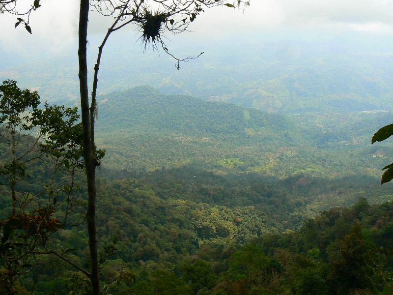 panoramica pauxi_SINAP