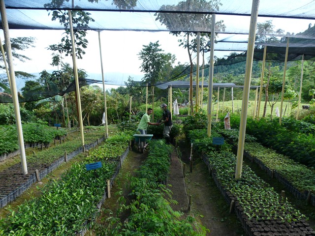 14780160926_9fe9a674fa_o