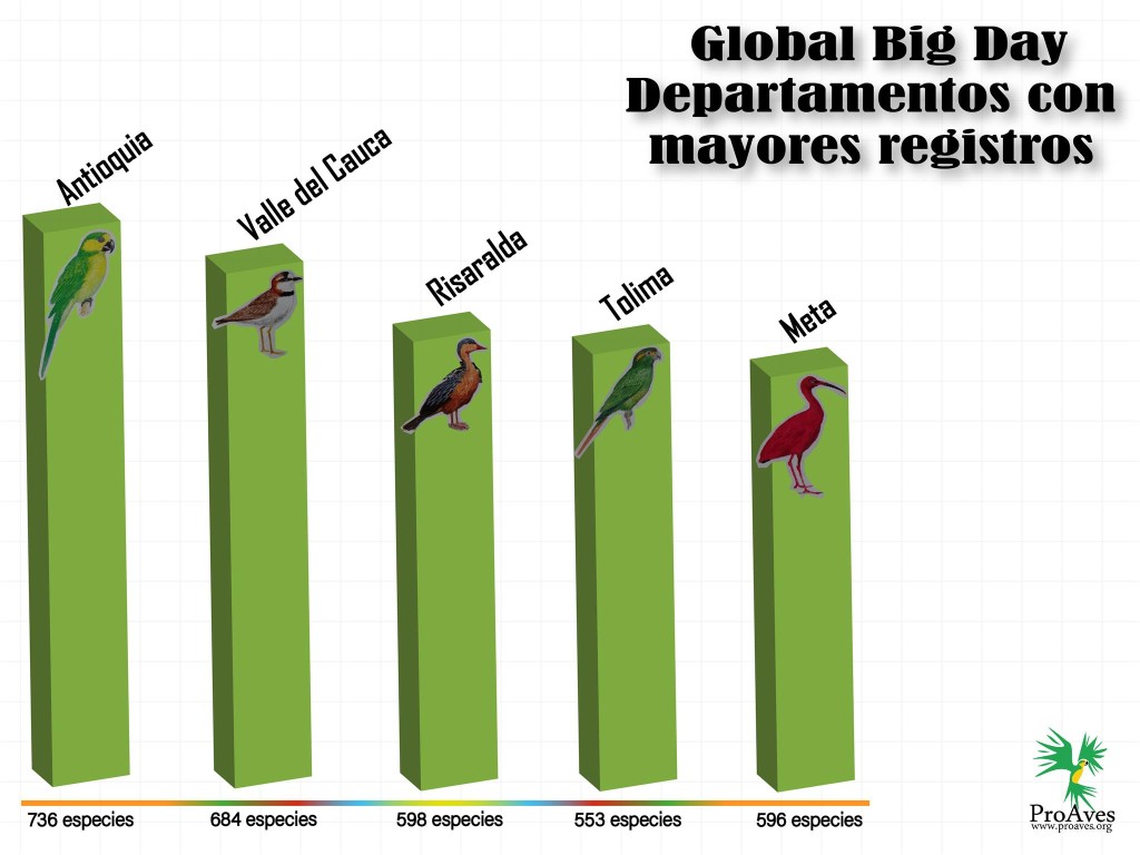 ESTADÍSTICAS GBD_Mesa de trabajo 1