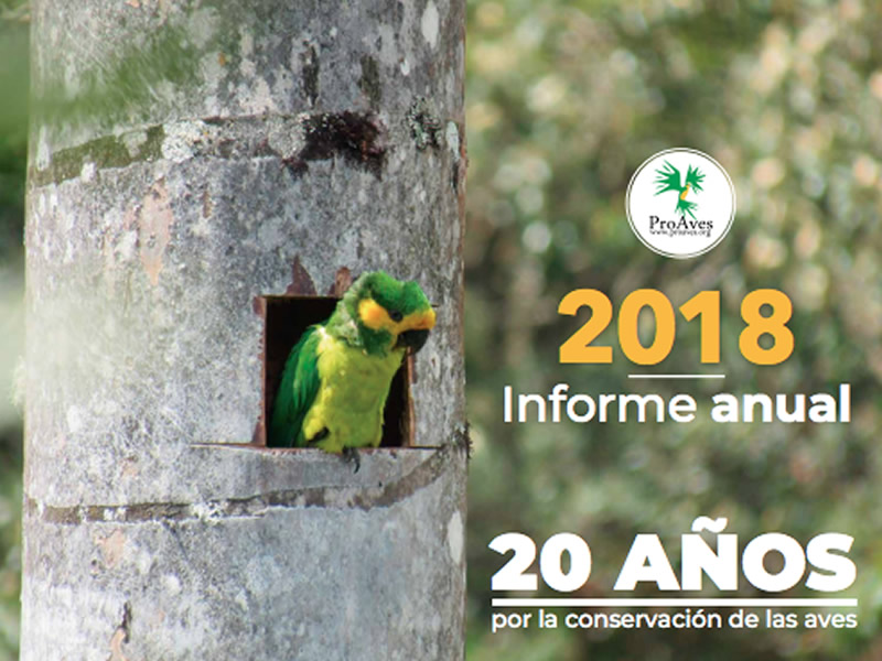 Conoce los logros de la Fundación ProAves de Colombia en el 2018
