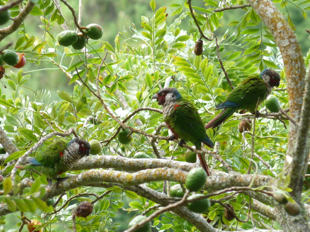 Nuestros logros en el reporte diciembre 2012