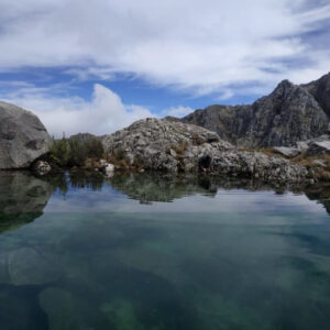 Los ecosistemas, nuestra fuente de vida