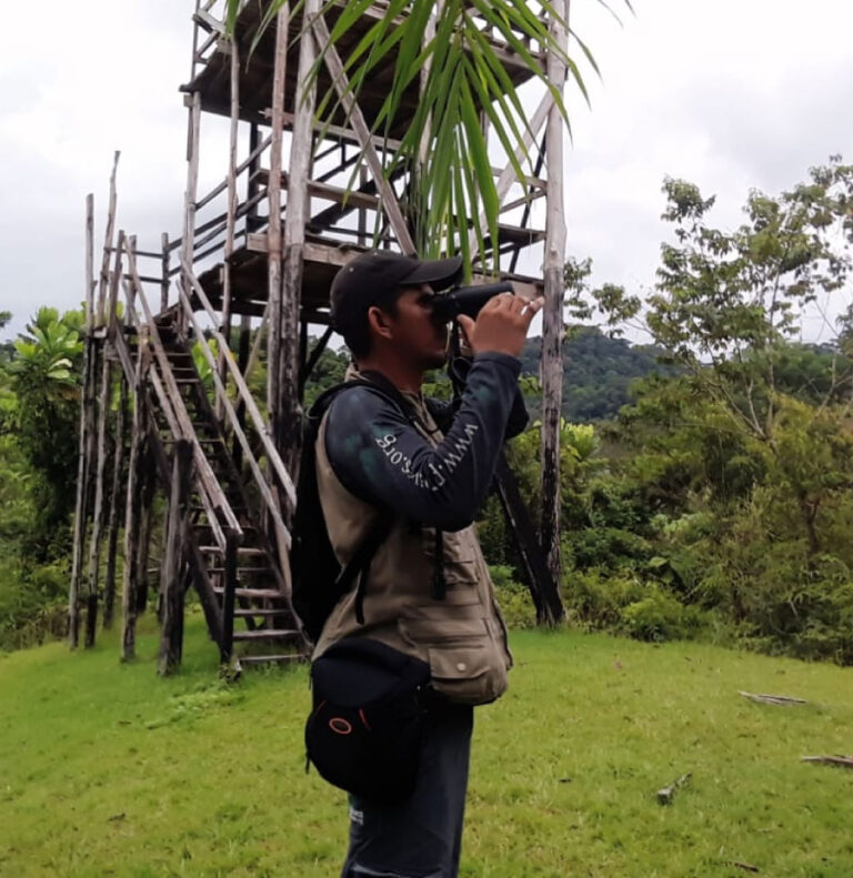 Gran conteo de aves en las Reservas ProAves