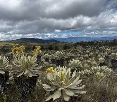 1.-Paisajes-Colibri-del-Sol-min-400x350