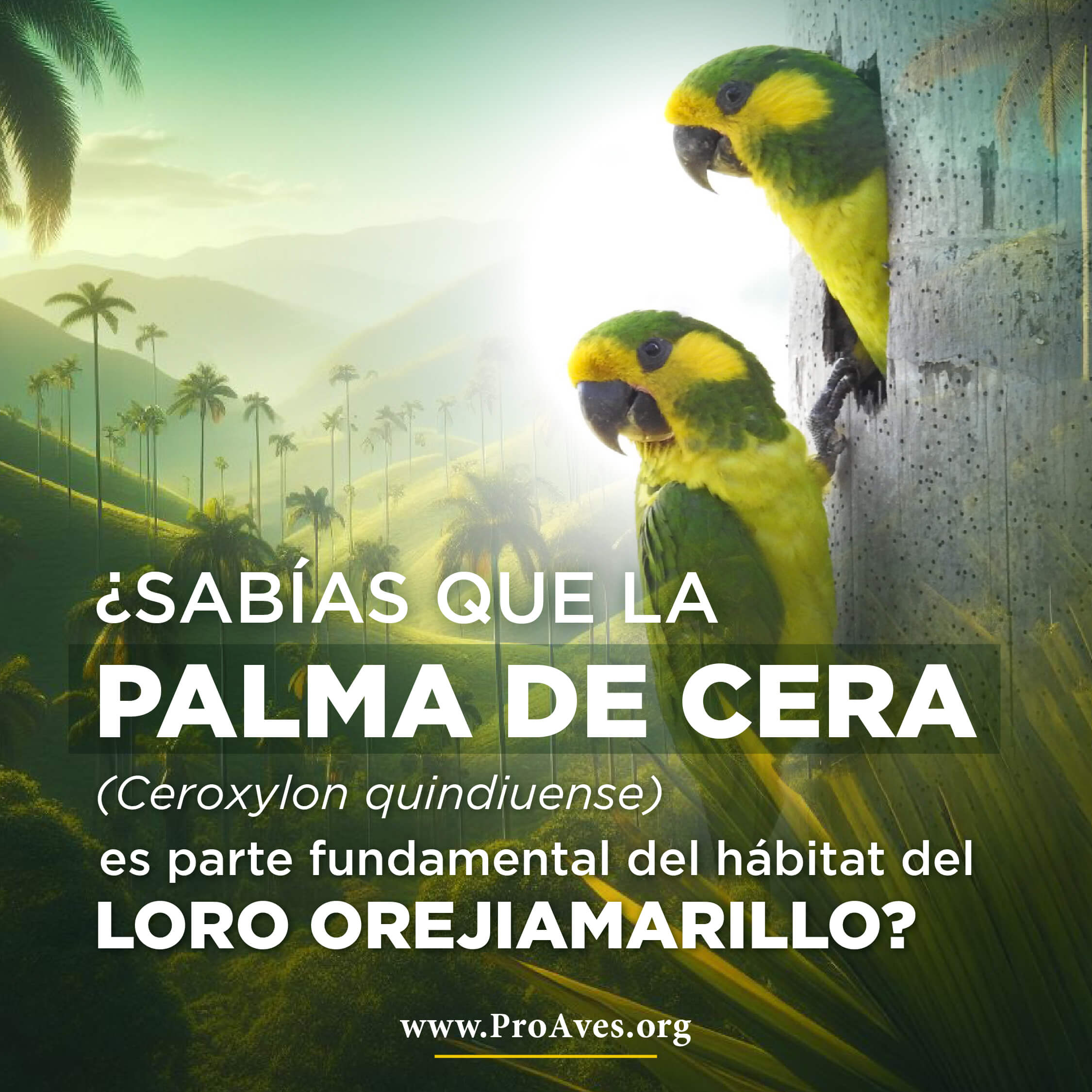 Campaña Reconcíliate con la naturaleza 2024 (1)