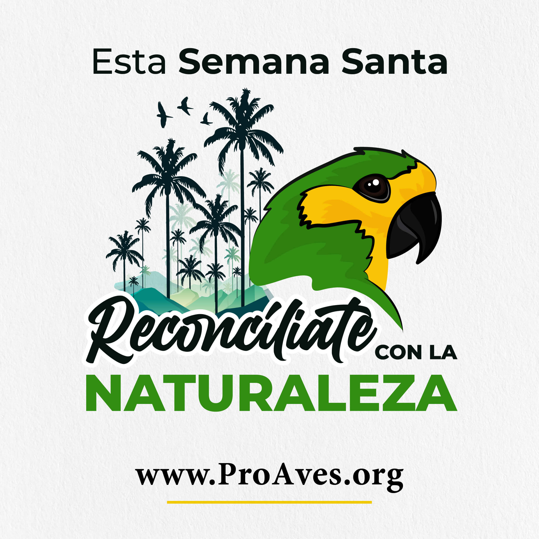 Campaña Reconcíliate con la naturaleza 2024 (1)