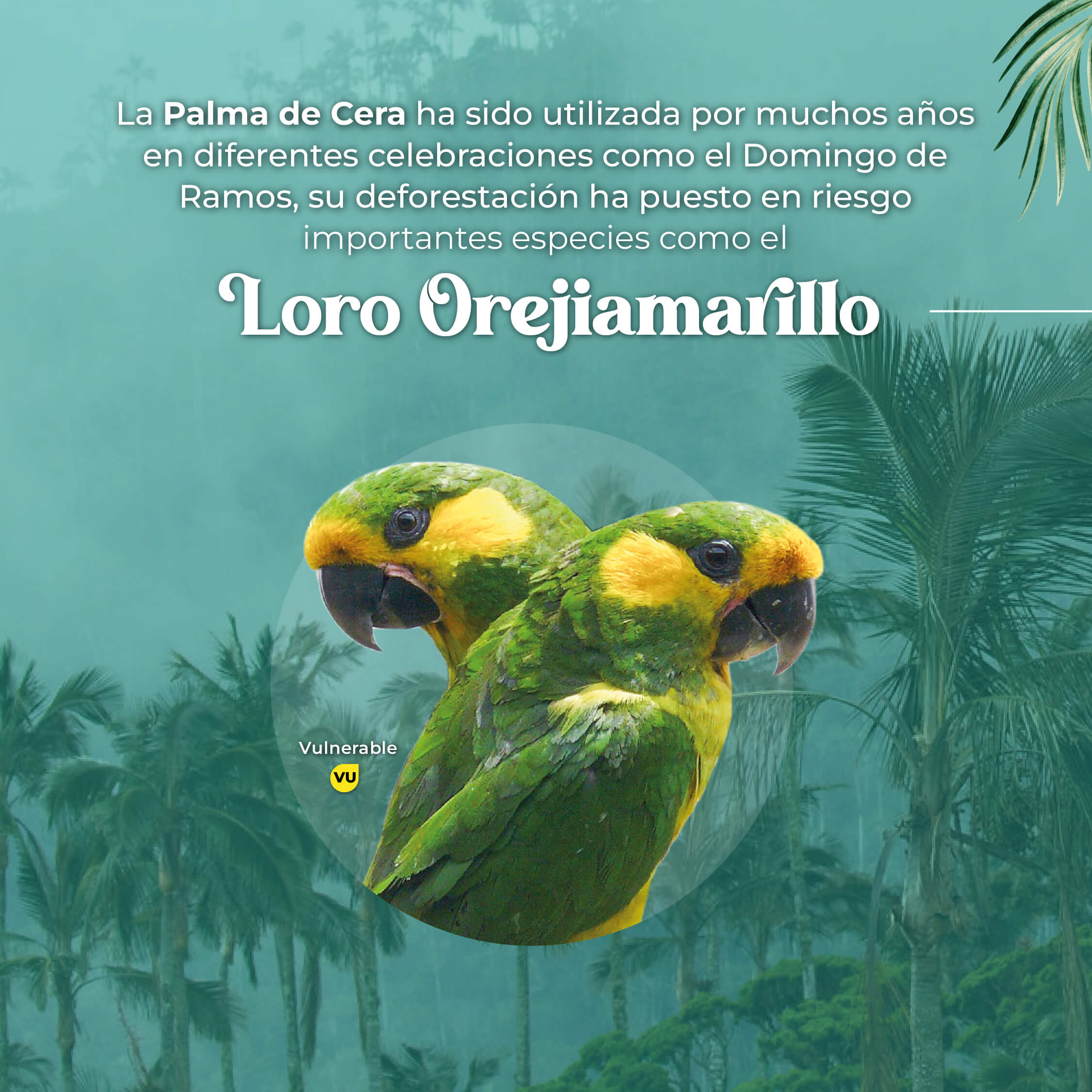 Campaña Reconcíliate con la naturaleza 2024 (2)