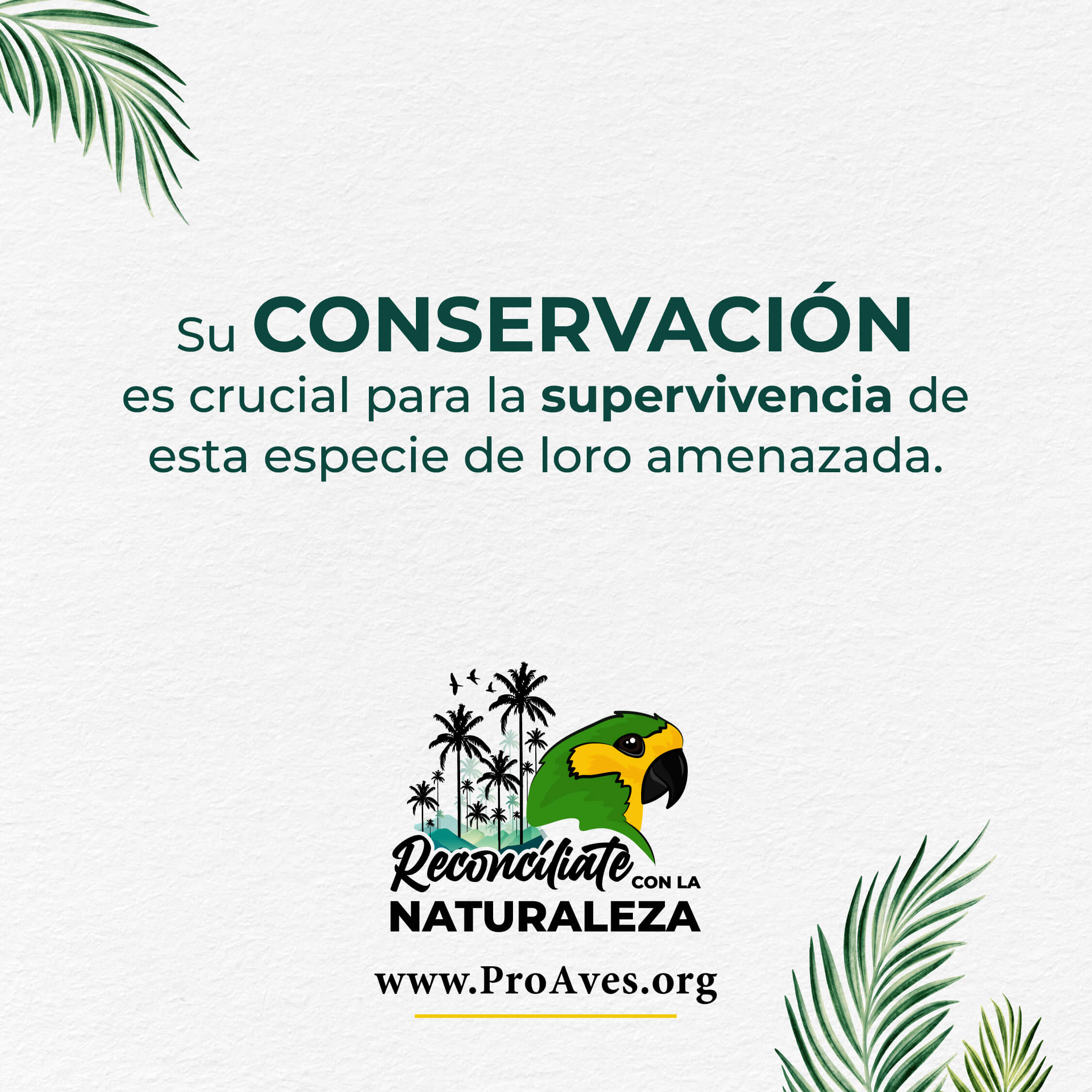 Campaña Reconcíliate con la naturaleza 2024 (3)