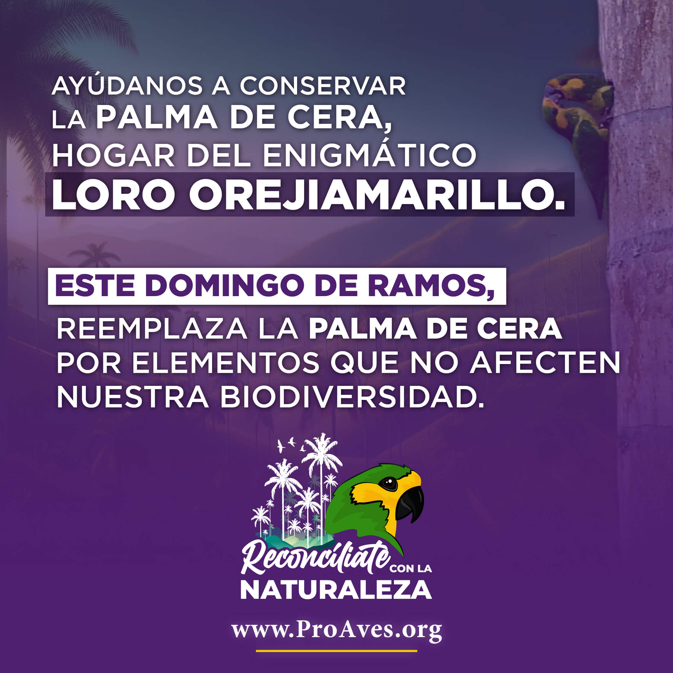 Campaña Reconcíliate con la naturaleza 2024