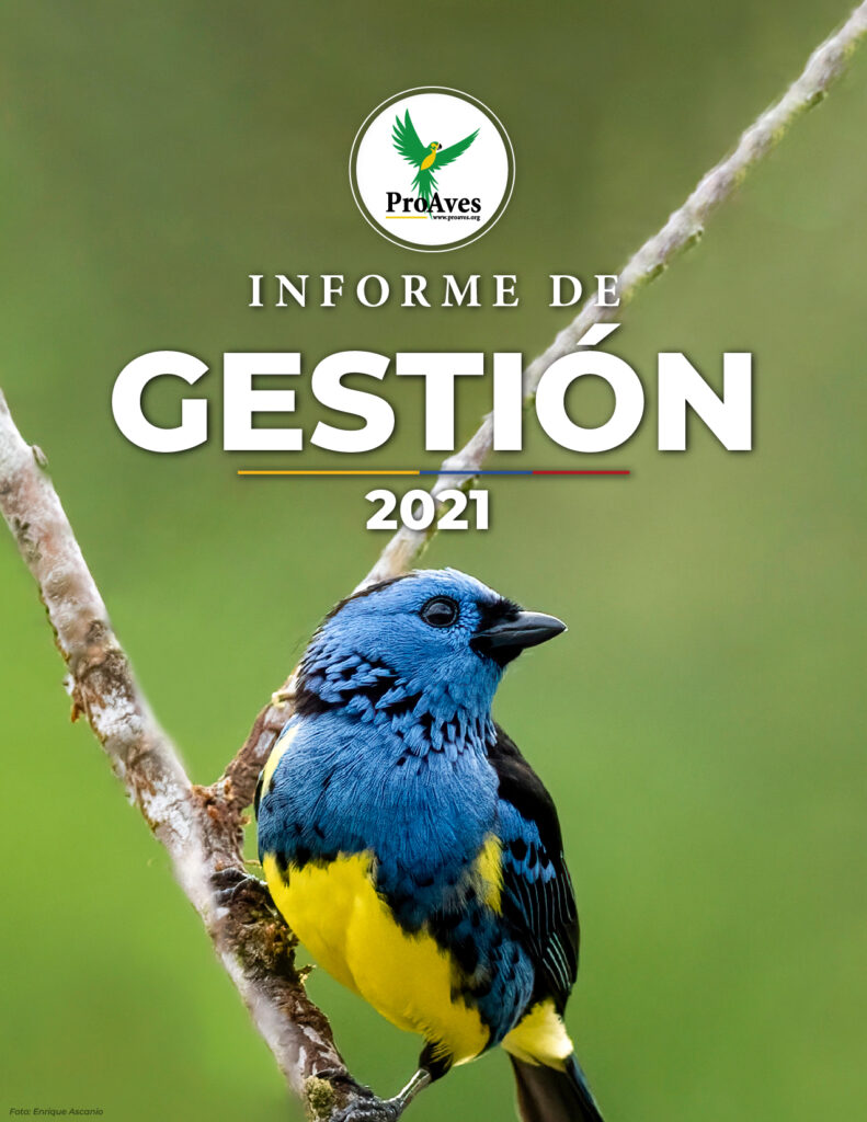 Informe de Impacto 2021