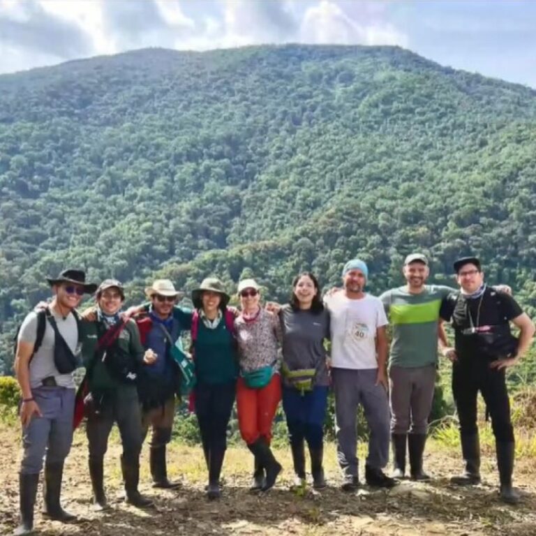 Importante registro de helechos en el departamento de Santander