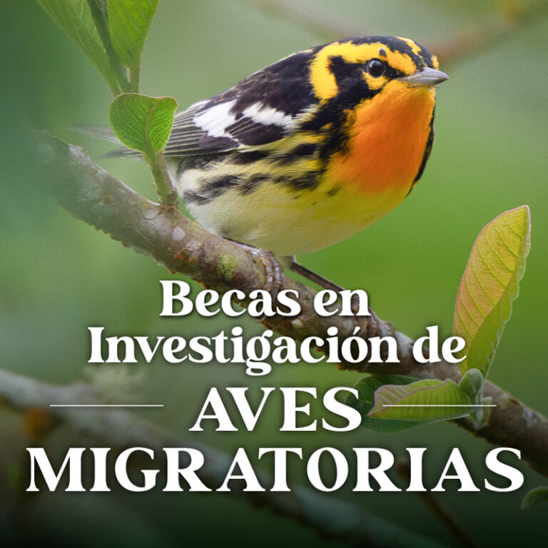 Estas son las personas que aportarán a la conservación de las aves migratorias desde la investigación en nuestro país