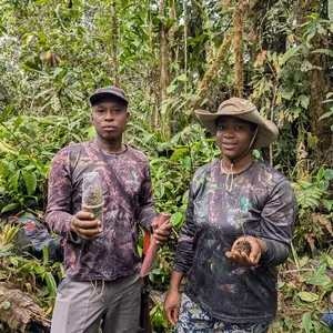 Avanza el Proyecto Magnolias en las Reservas ProAves: Sumando acciones para la conservación de estas especies