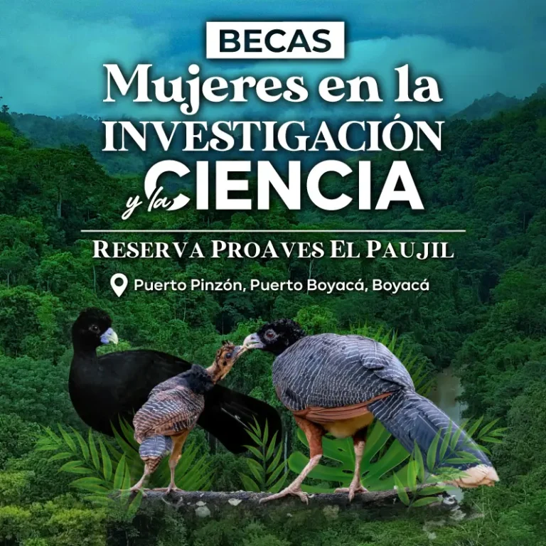 Lanzamos nuevamente nuestro programa de Becas Mujeres en la Investigación y la Ciencia