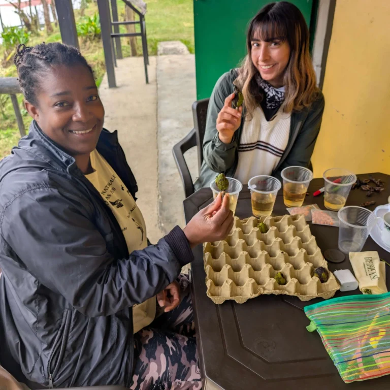 Women Driving the Conservation of Magnolias in ProAves Reserves