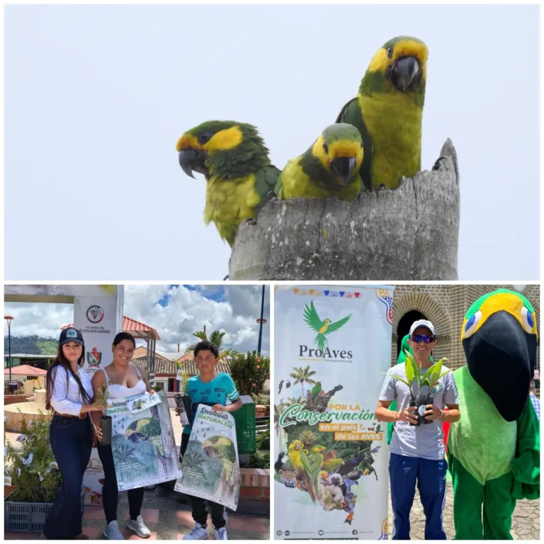 Reconcíliate con la Naturaleza: 25 años sembrando conciencia ambiental en nuestro país