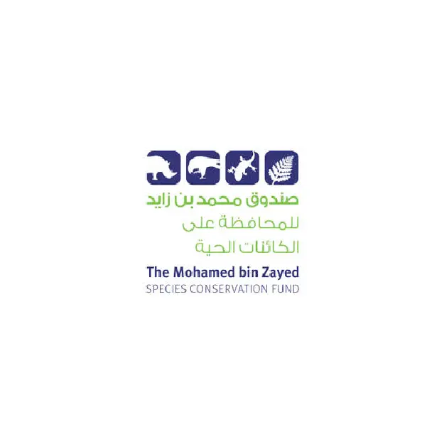 The Mohamed Bin zayed