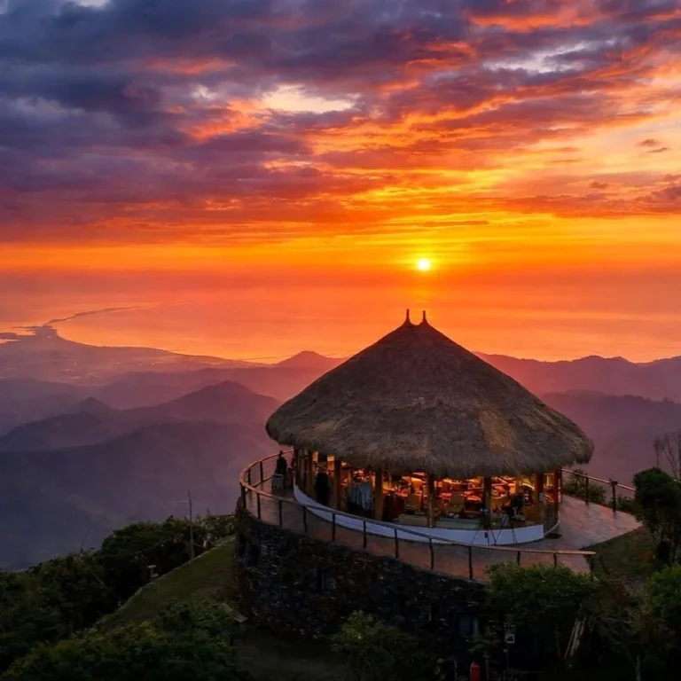 20 años de conservación en la Sierra Nevada de Santa Marta: el legado vivo de la Reserva ProAves El Dorado