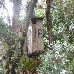 Nidos artificiales para el Loro Coroniazul