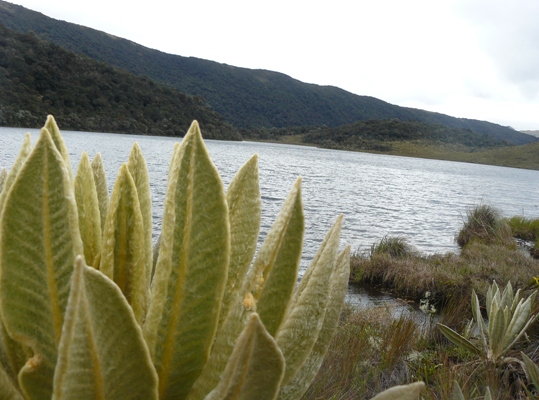 Actividades_Gonzalo_005