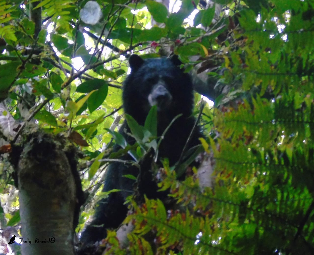 WhatsApp Image 2020-05-22 at 5.03.18 PM