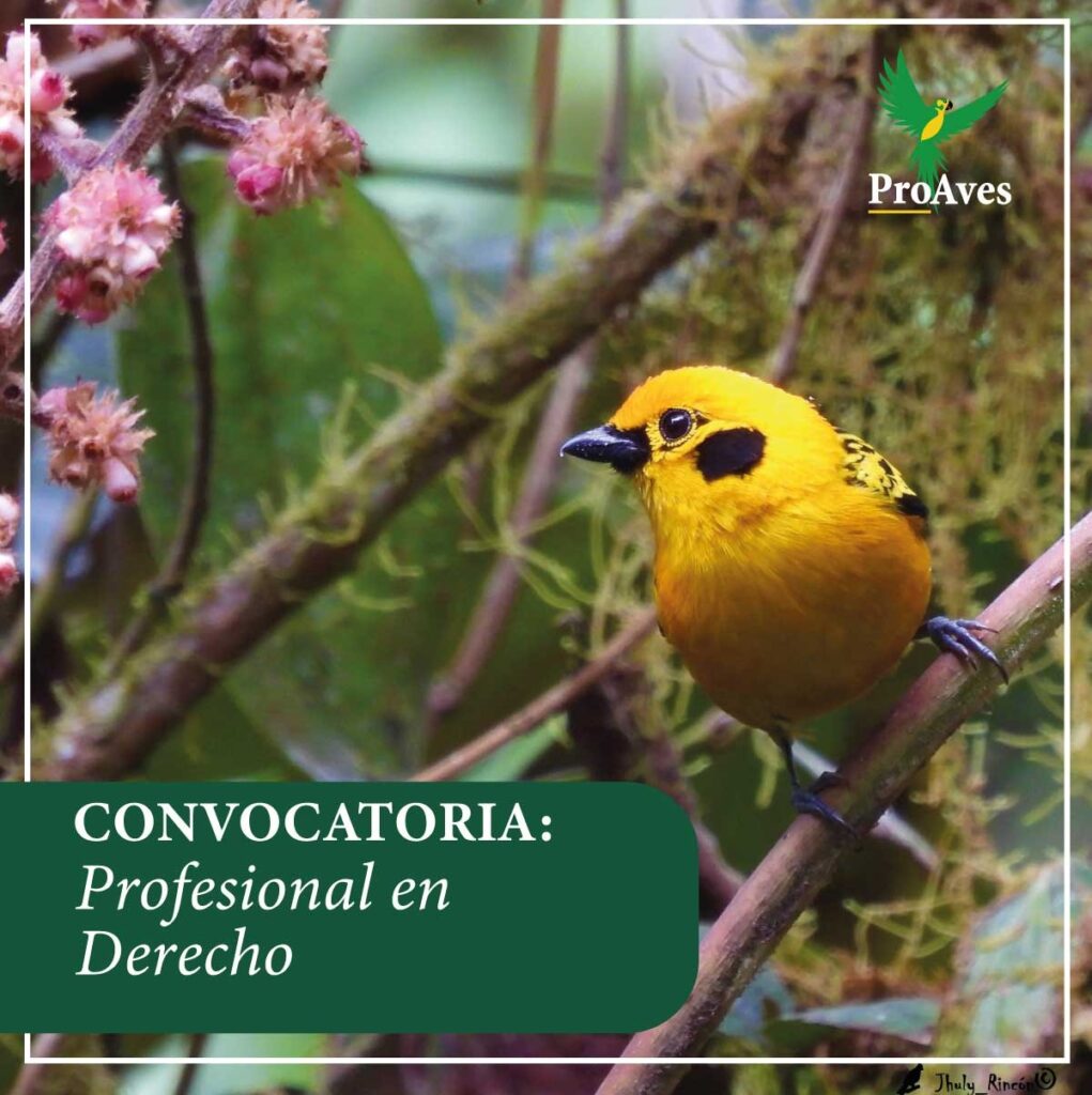 Convocatoria de Abogado