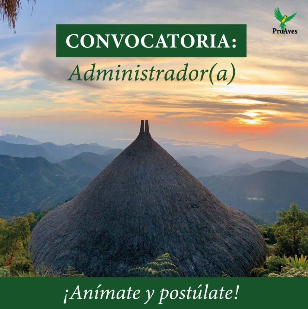 Convocatoria Administrador
