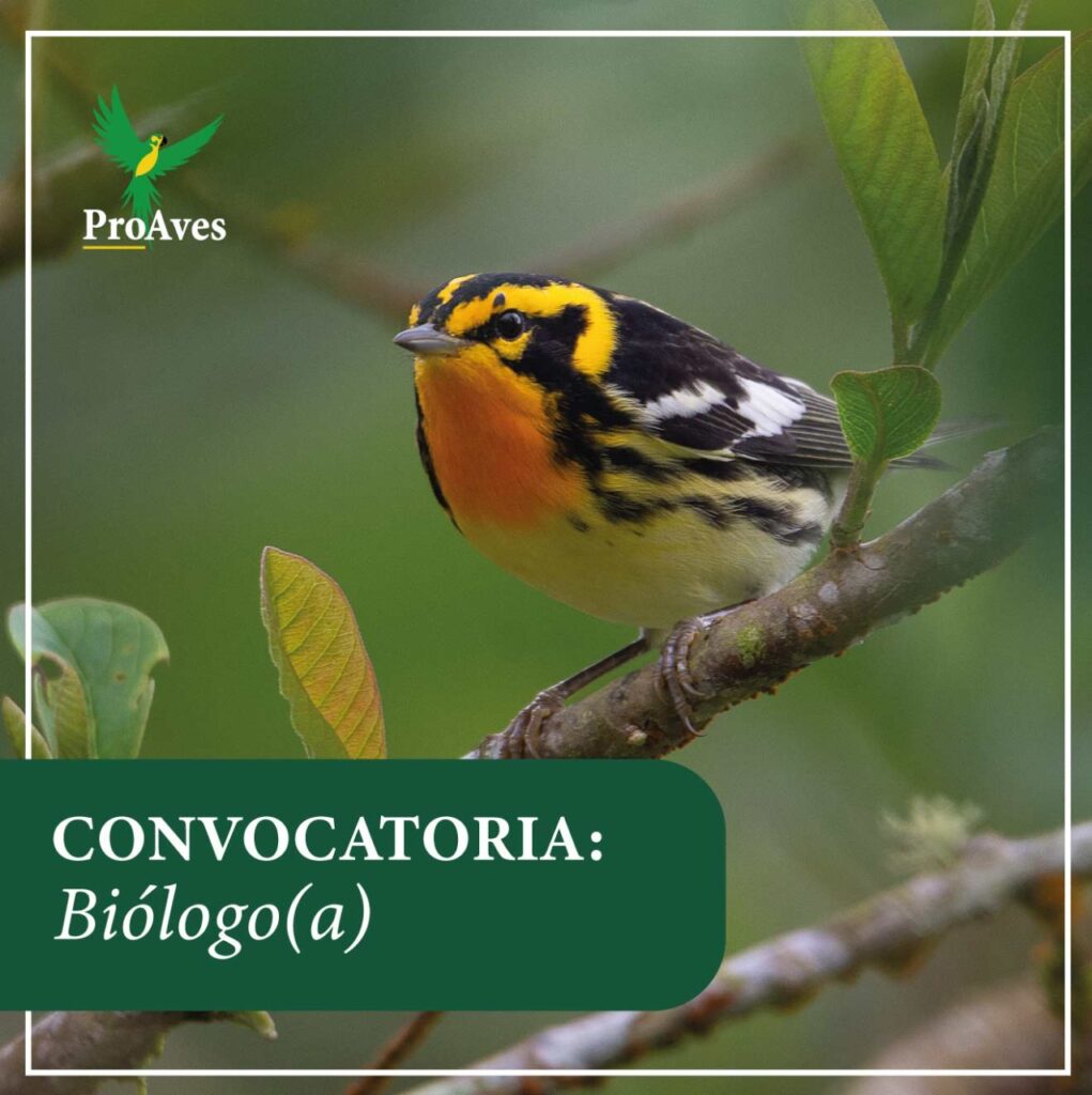 Convocatoria de biólogo(a)