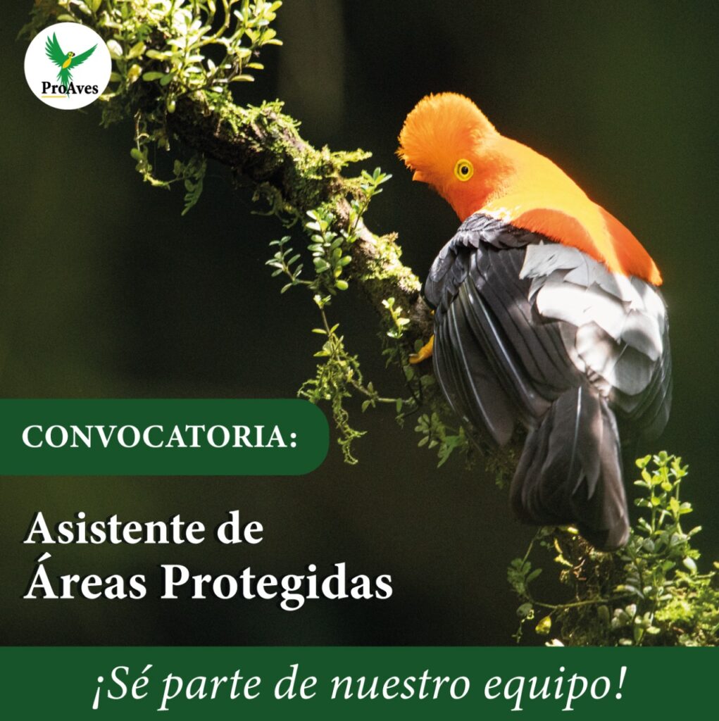 Asistente de áreas protegidas