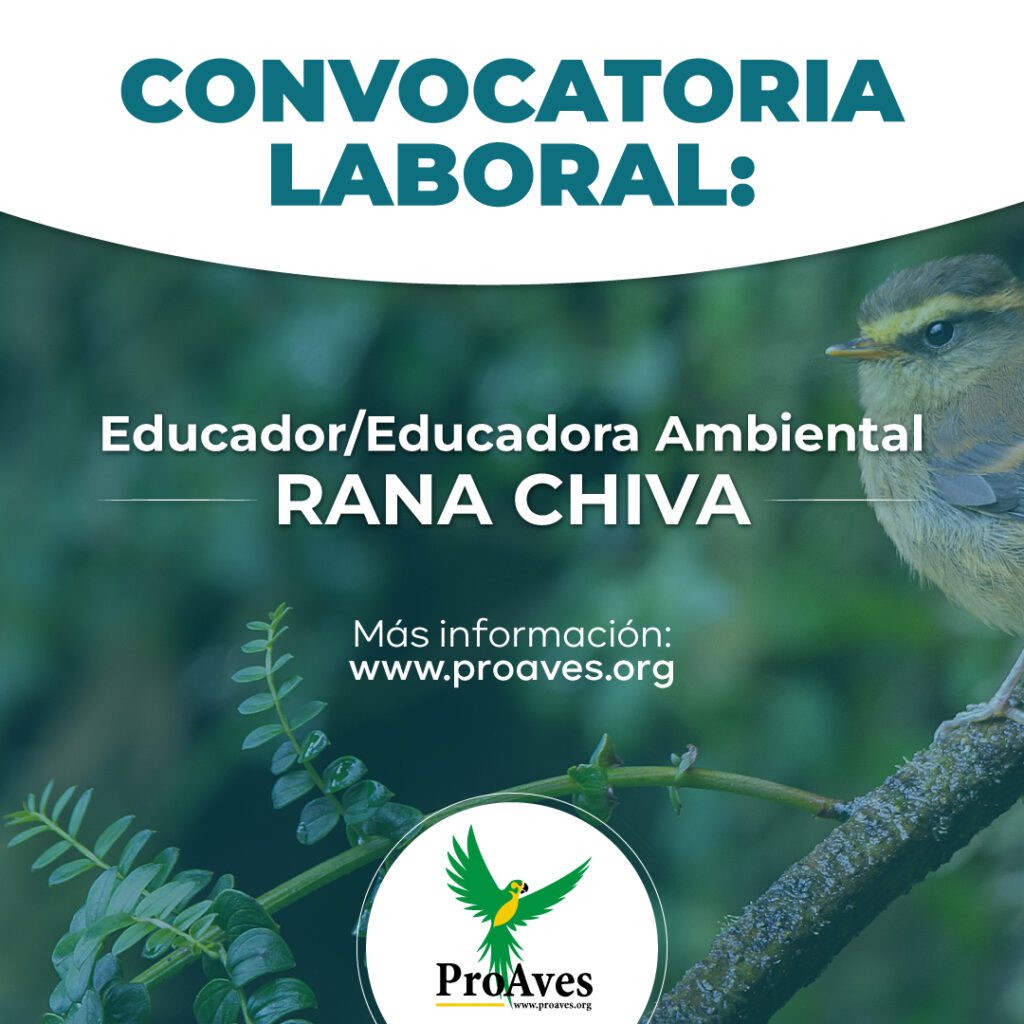 Educador/Educadora Ambiental