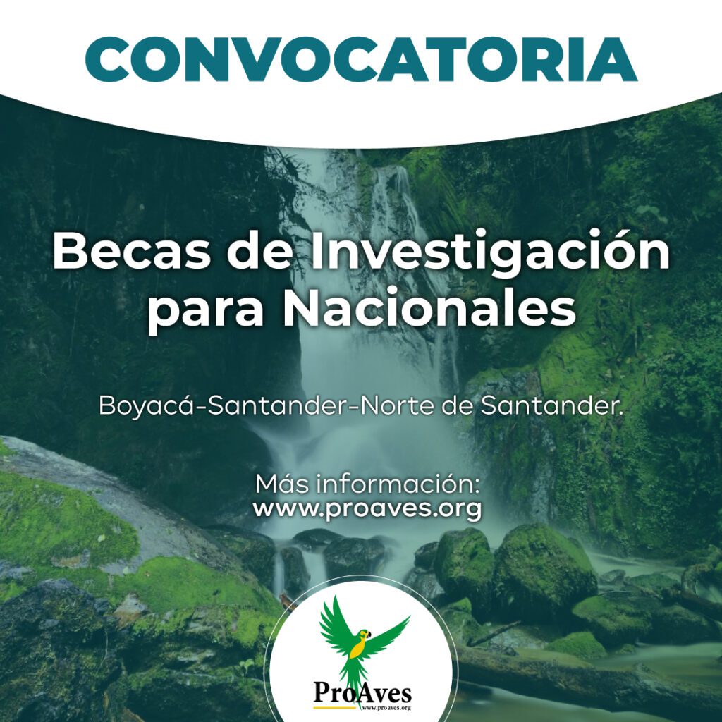 Convocatorias de Becas de Investigación para Nacionales