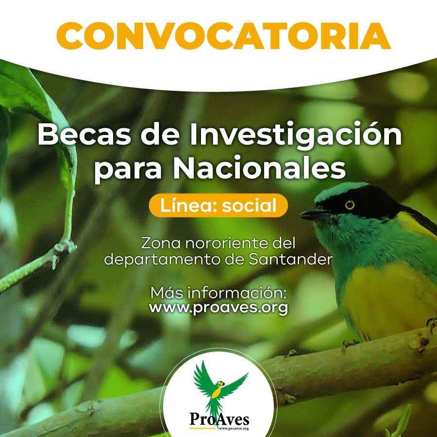 Convocatorias de Becas de Investigación para Nacionales | Línea: social