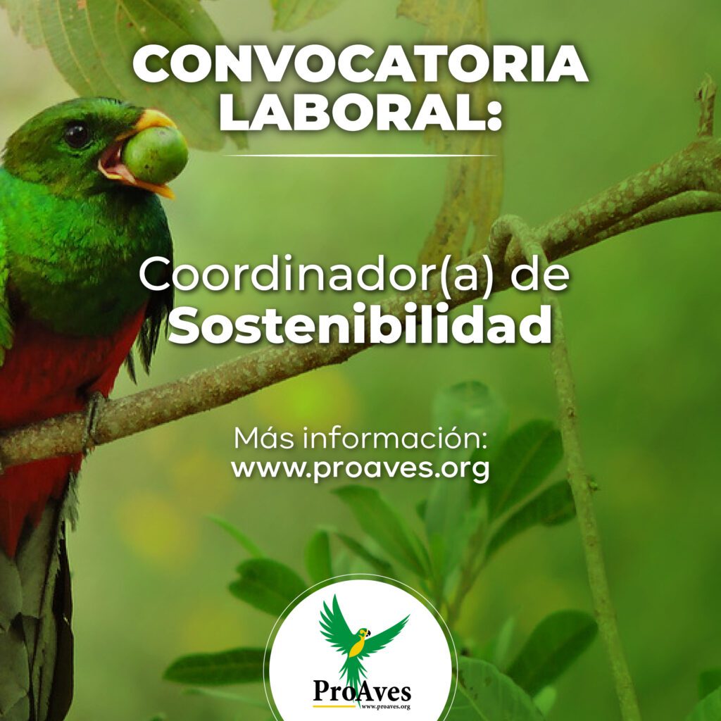 Coordinador(a) de Sostenibilidad
