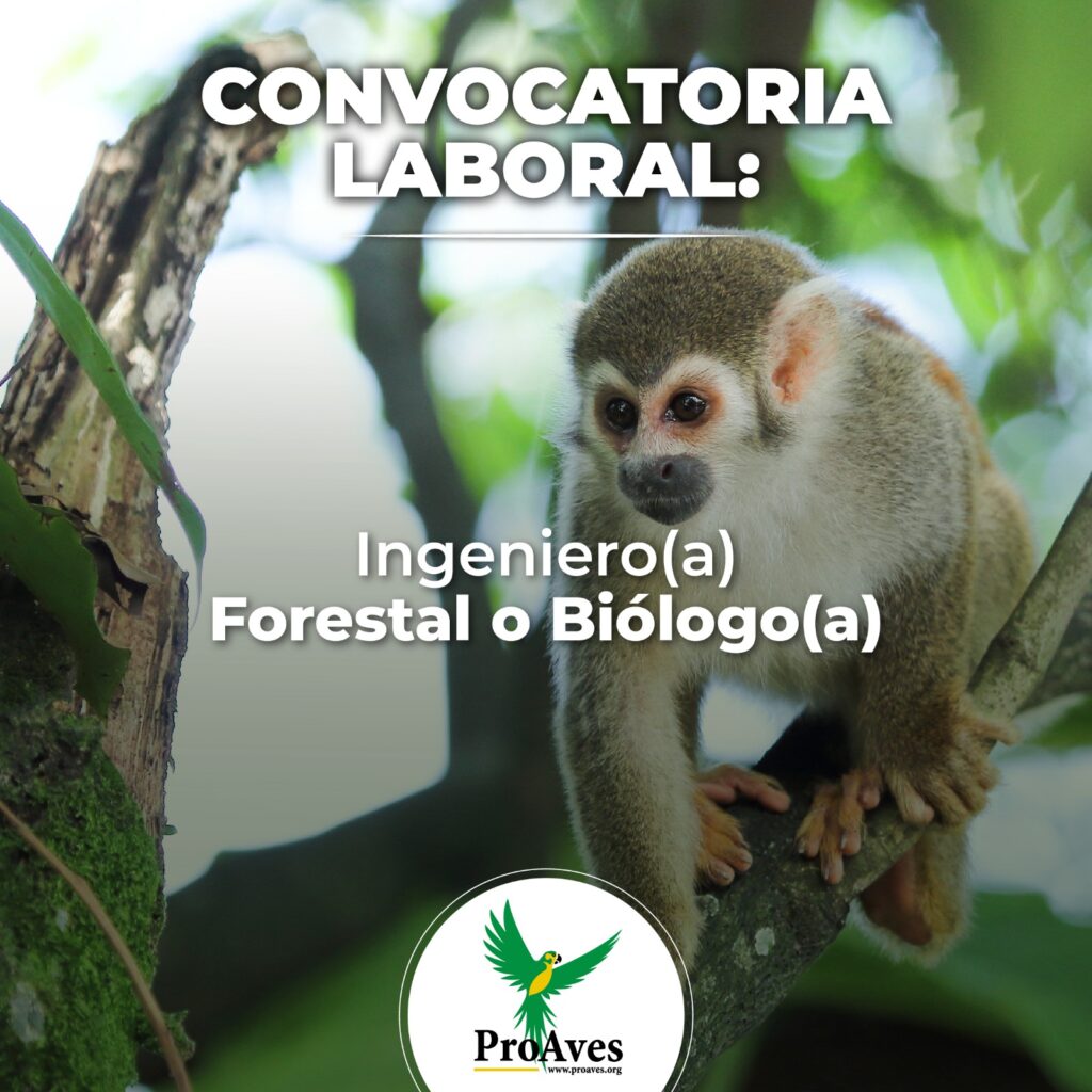 Convocatoria para ingeniero(a) forestal o biólogo(a)