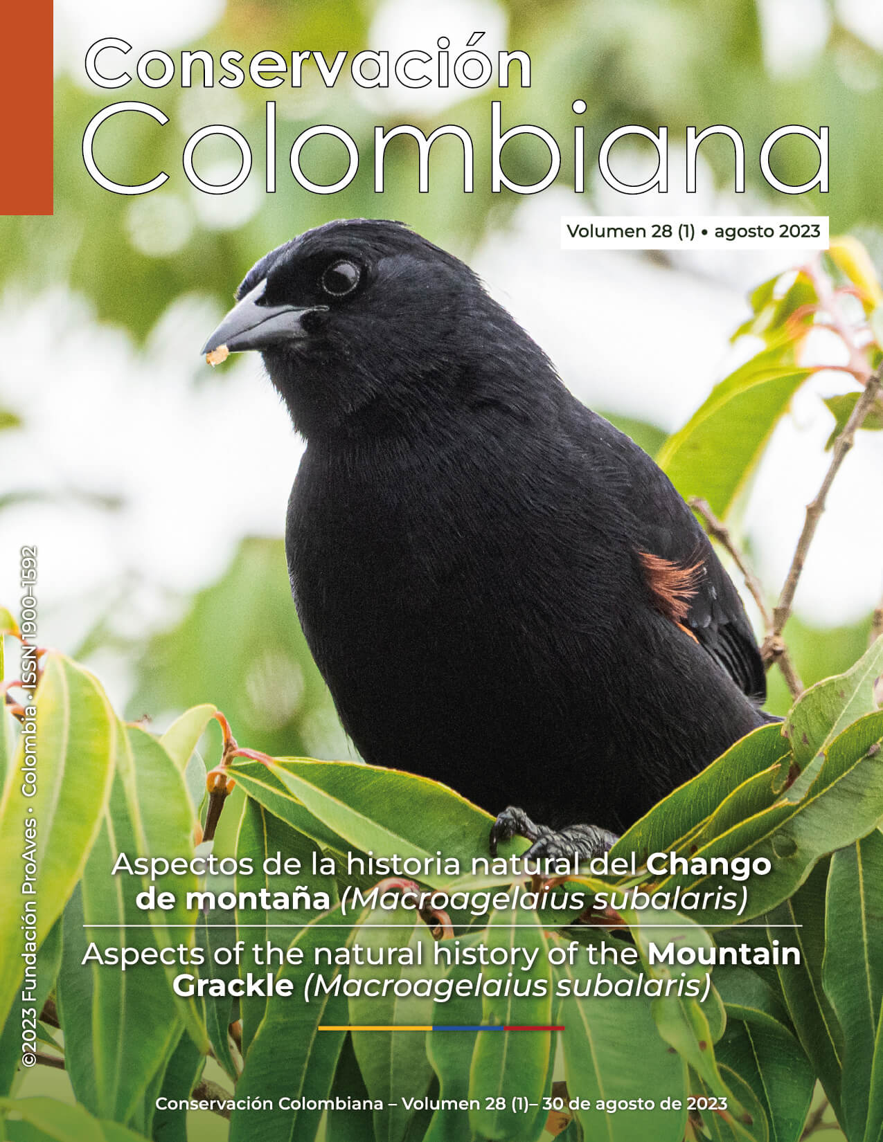 Revista Conservación Colombiana 28