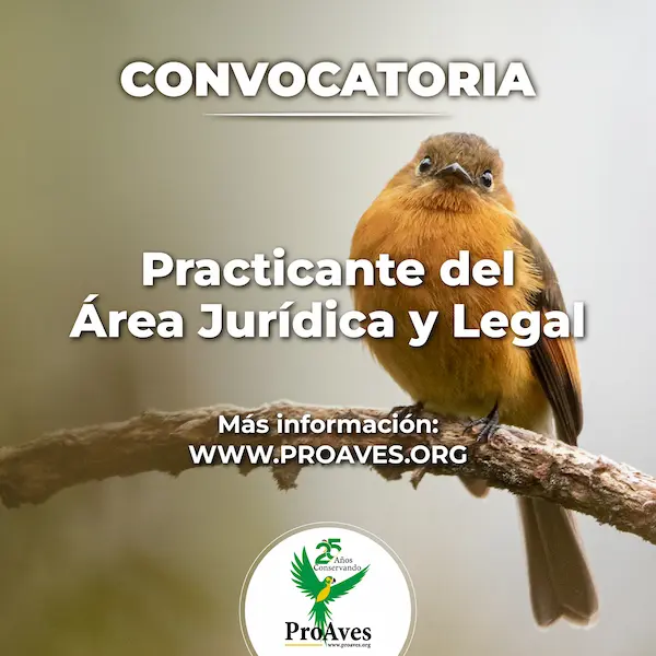 Convocatoria practicante área jurídica
