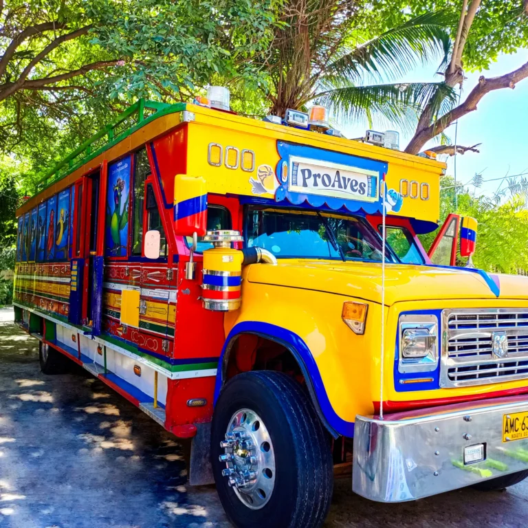 La ReinitaChiva arrancó su recorrido por Colombia y ahora se encuentra en la COP16