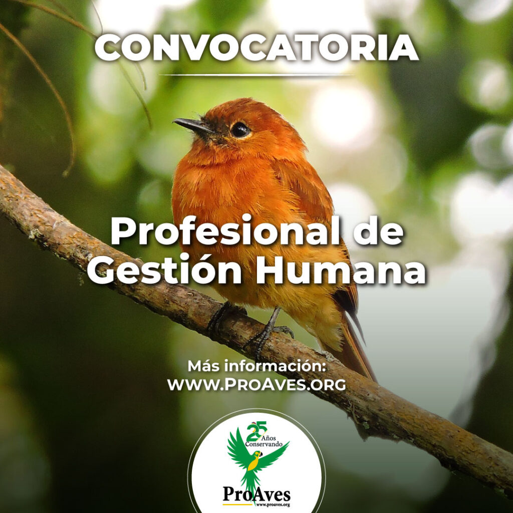 Profesional en gestión humana