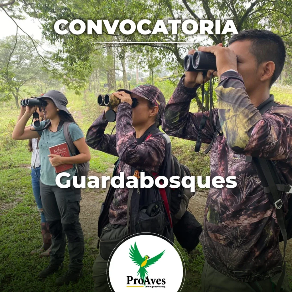 Convocatoria Laboral Guardabosques