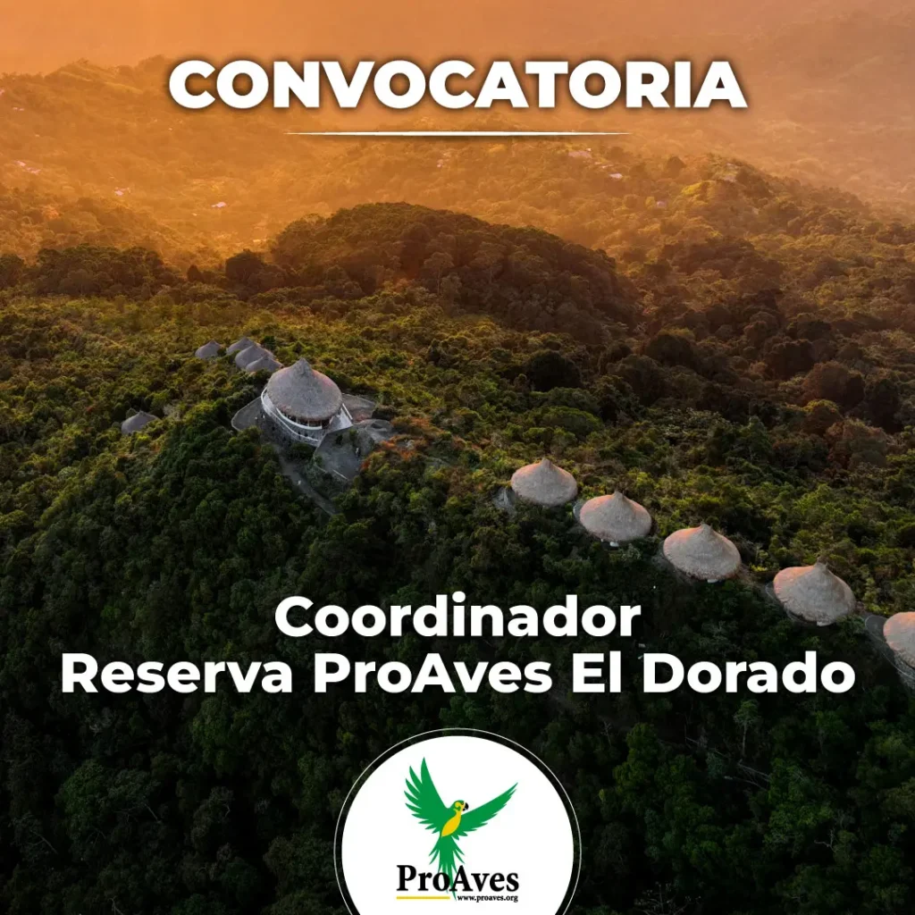 Coordinador Reserva Proaves El Dorado