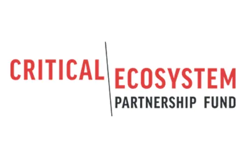 Critial Ecosystem